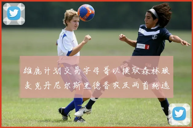 雄鹿计划交易字母哥以换取森林狼麦克丹尼尔斯里德香农及两首轮选秀权